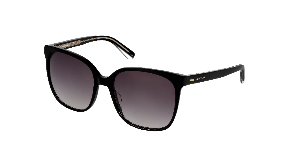 Calvin Klein CK21707S Noir