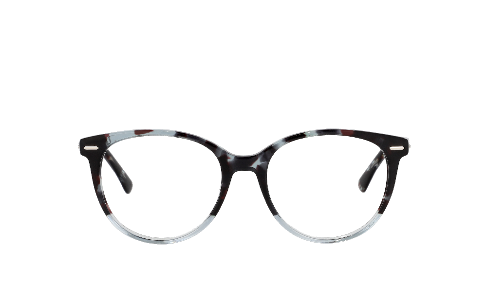 Calvin Klein CK21710 Écaille