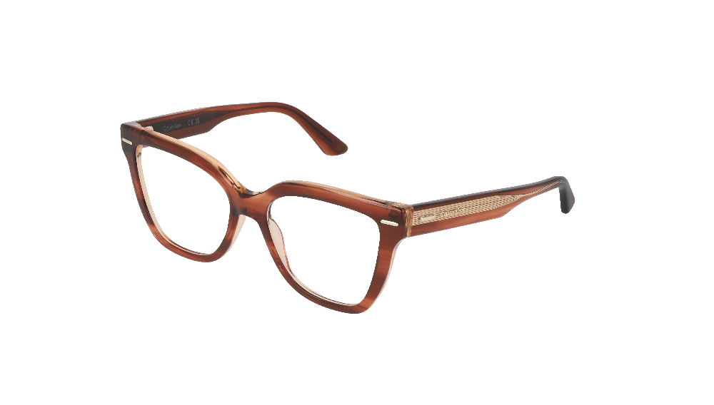 Calvin Klein CK23543 Marron