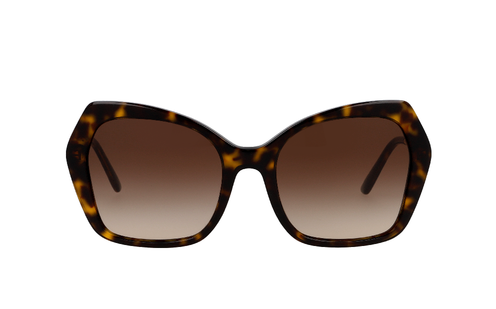 Dolce & Gabbana DG4399 Écaille