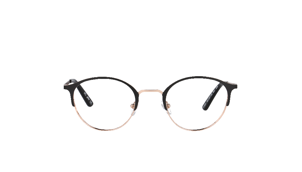 Ray-Ban RB3016 Écaille