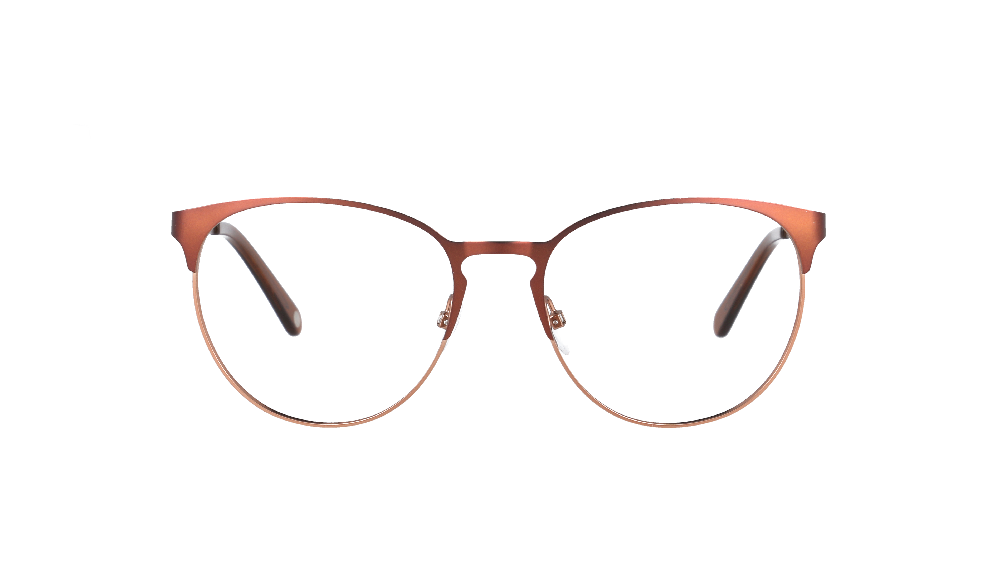 Ray-Ban RB3016 Écaille