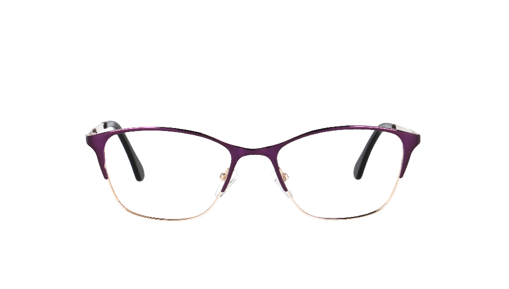 Ray-Ban RB3016 Écaille