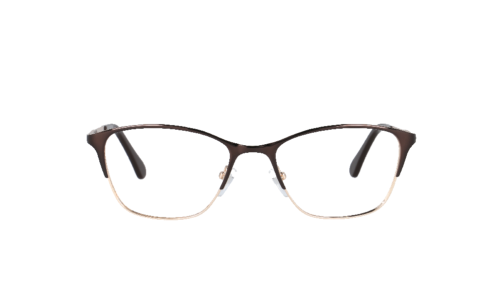 Ray-Ban RB3016 Écaille