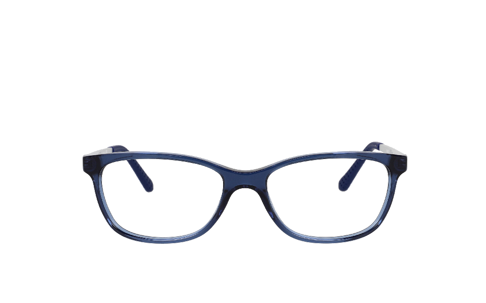 Ralph Lauren RL6135 Bleu