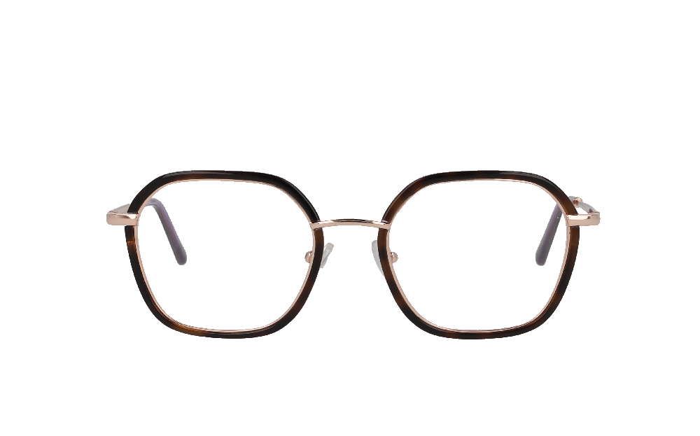 Ralph Lauren RL6136 Écaille