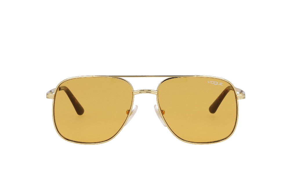 Ray-Ban RB2198 Écaille