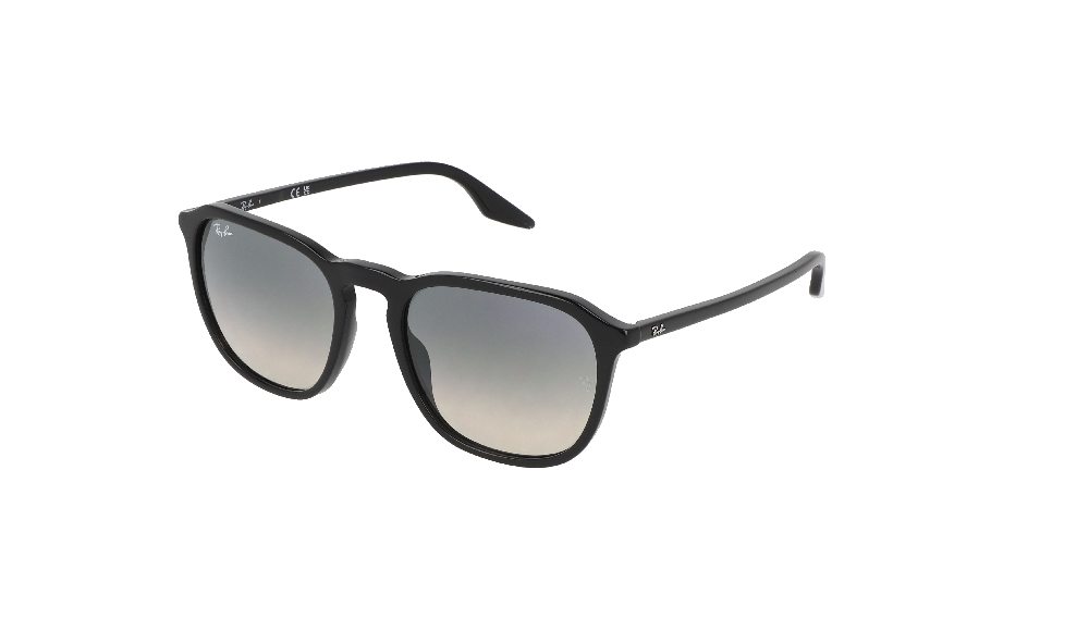 Ray-Ban Ray-Ban RB2203 Noir