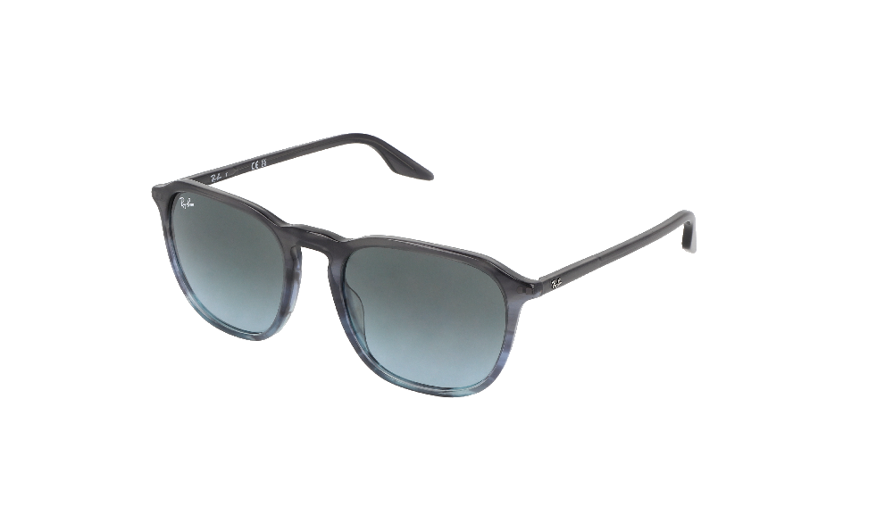 Ray-Ban Ray-Ban RB2203 Gris