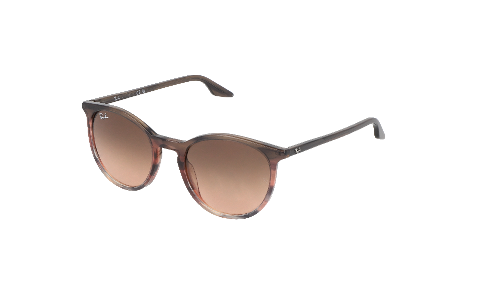 Ray-Ban RB2204 Marron