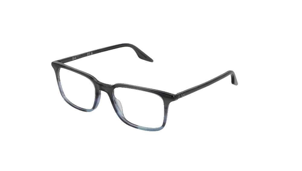 Ray-Ban RX5421 Gris