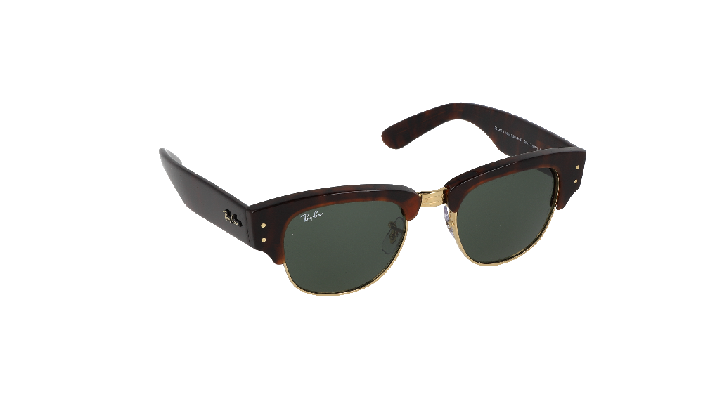 Ray-Ban Ray-Ban RB0316S Écaille